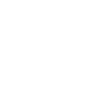 Race